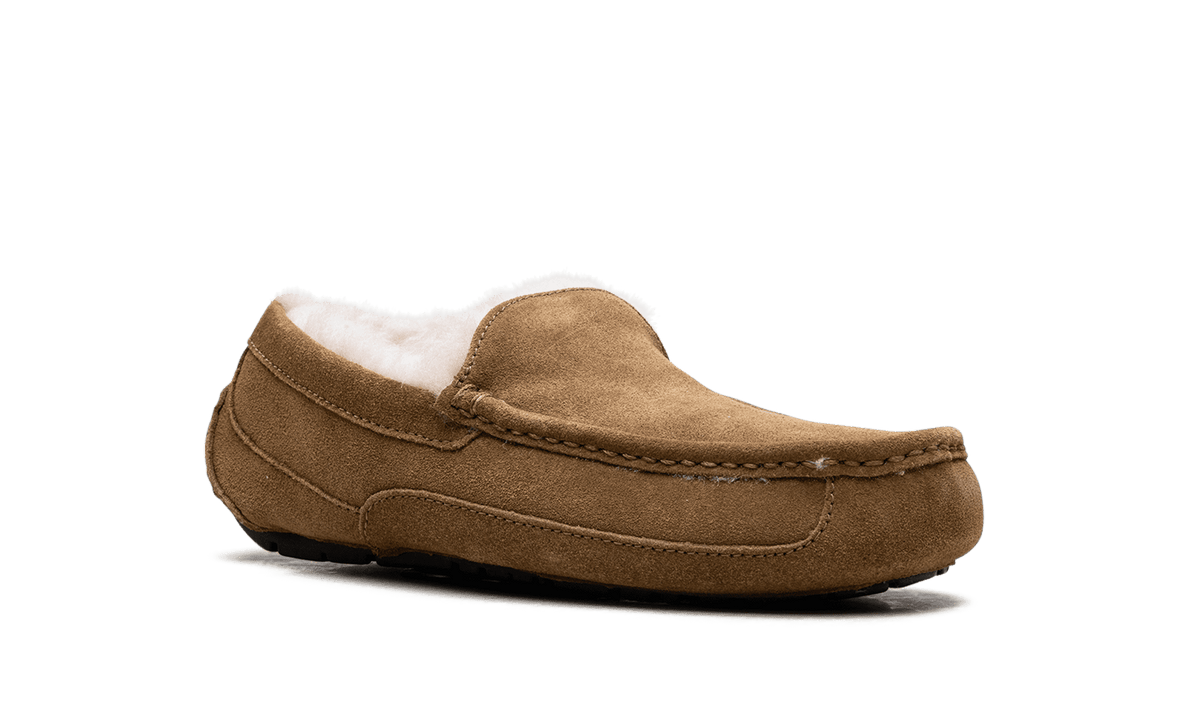 UGG MENS Australia Ascot Moccasin 1101110 CHE 1101110 CHE from Stadium Goods